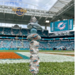 Miami Dolphins